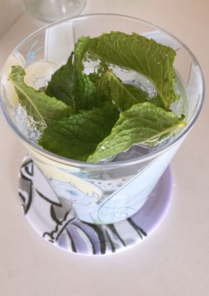 ミントで炭酸ジュース-レシピのメイン写真