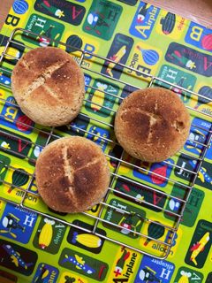 おからパウダーの丸パン-レシピのメイン写真