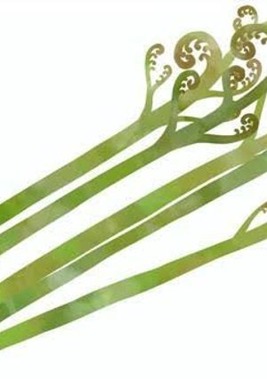 ワラビのアク抜き-レシピのメイン写真