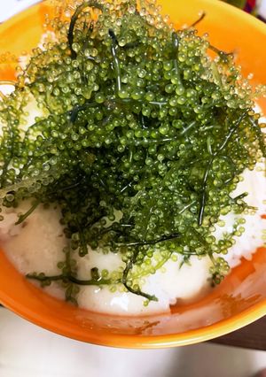 海ぶどう丼-レシピのメイン写真