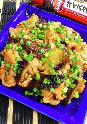 節約レシピ♪豚こまと茄子のオイ味噌炒め-レシピのメイン写真