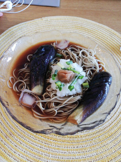 冷やし蕎麦 茄子の煮浸し風-レシピのメイン写真