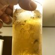 キクイモ茶【一年中楽しめるキクイモ】