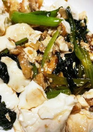薄揚げ入り麻婆豆腐-レシピのメイン写真