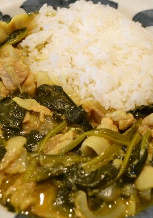 豚バラとほうれん草のカレー-レシピのメイン写真