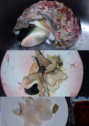 夜光貝の捌き方と食べ方-レシピのメイン写真