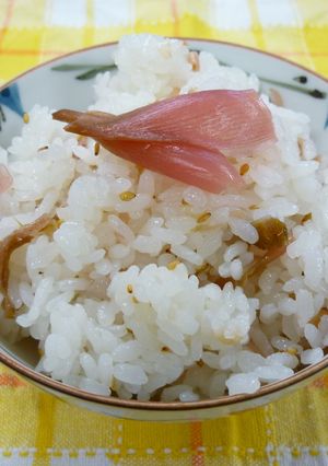 みょうがごはん-レシピのメイン写真