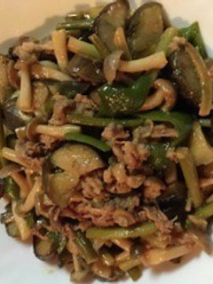 茄子と牛肉炒め(焼き肉のタレ味)-レシピのメイン写真