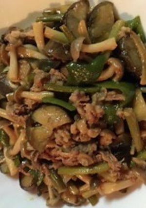 茄子と牛肉炒め(焼き肉のタレ味)-レシピのメイン写真