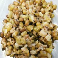 รูปของ 圧力鍋で緑豆を煮る(覚書)