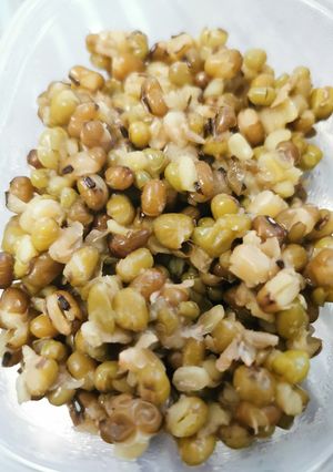 圧力鍋で緑豆を煮る(覚書)-レシピのメイン写真