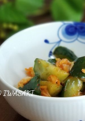 綺麗になれちゃう『胡瓜のキムチ和え』-レシピのメイン写真