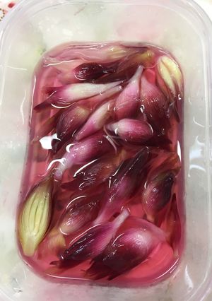 みょうがの酢漬け-レシピのメイン写真