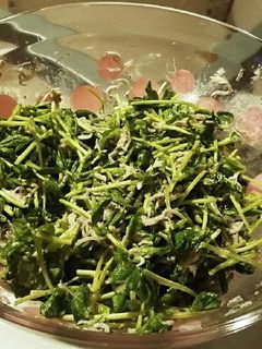 豆苗としらすのシャキシャキサラダ-レシピのメイン写真