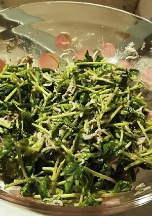 豆苗としらすのシャキシャキサラダ-レシピのメイン写真