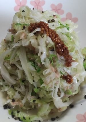 マジ無限キャベツ-レシピのメイン写真