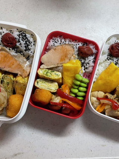 学生弁当(2021.7.15)-レシピのメイン写真