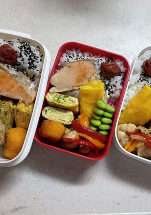 学生弁当(2021.7.15)-レシピのメイン写真