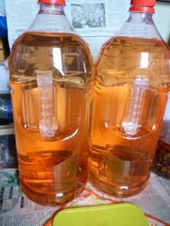 今年のやまもも酒の実飲版を作る-レシピのメイン写真