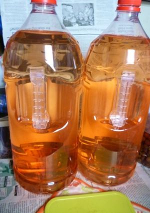 今年のやまもも酒の実飲版を作る-レシピのメイン写真