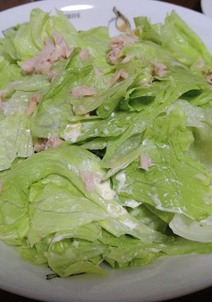 レタスとツナのマヨサラダ-レシピのメイン写真