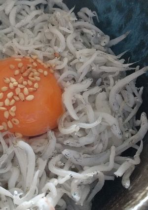 しらす丼-レシピのメイン写真