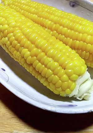嶽きみ（圧力鍋）-レシピのメイン写真