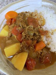 さっぱりトマトカレー-レシピのメイン写真