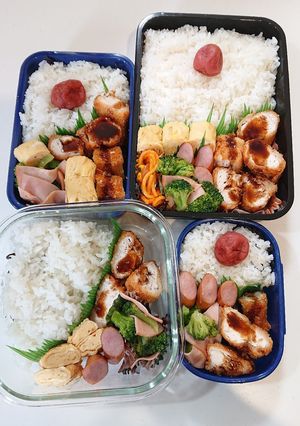 お弁当 8/11-レシピのメイン写真