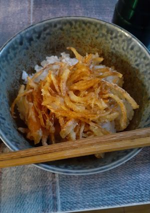 にんじんと玉ねぎのかきあげ丼-レシピのメイン写真
