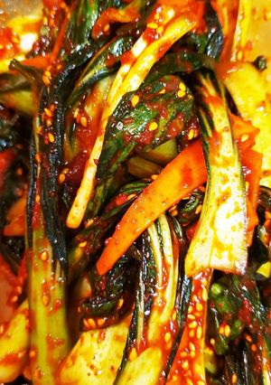 ~チンゲン菜生和え物~10分完成-レシピのメイン写真
