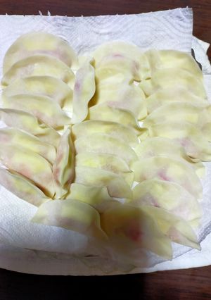 変わり種餃子-レシピのメイン写真
