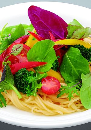 夏野菜の冷製生サラダスパゲティ-レシピのメイン写真