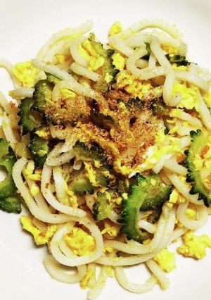 犬ご飯　ゴーヤ入り焼うどん-レシピのメイン写真