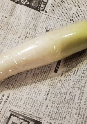 大根 まるごと1本 保存方法-レシピのメイン写真
