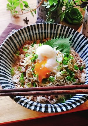 しらすのユッケ丼-レシピのメイン写真