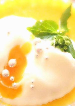 マンゴープリン-レシピのメイン写真