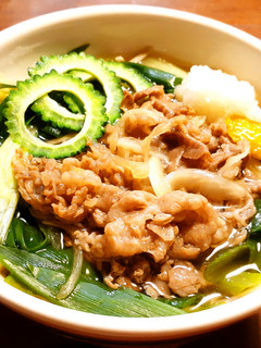 牛肉と九条ネギの温かい蕎麦 発酵玉葱-レシピのメイン写真