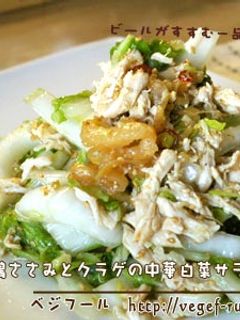 鶏ささみとクラゲの白菜中華サラダ-レシピのメイン写真