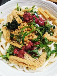 夏バテ防止!梅だらけの冷やしうどん-レシピのメイン写真