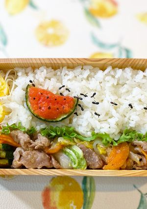 夏のアリ行列弁当-レシピのメイン写真