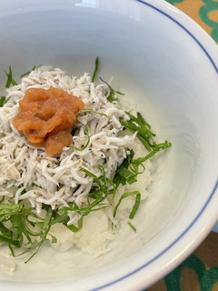 しらすdeウメ〜丼-レシピのメイン写真