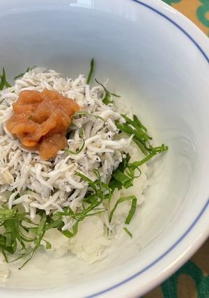しらすdeウメ〜丼-レシピのメイン写真