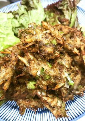 ゴボウとイワシのつみれ揚げ-レシピのメイン写真