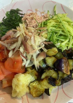 野菜たっぷり素麺 覚書き-レシピのメイン写真