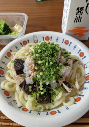 ロティサリーチキンでサラダうどん-レシピのメイン写真