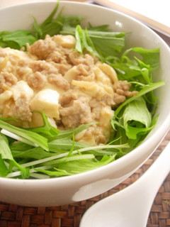 生姜香る豆腐丼-レシピのメイン写真
