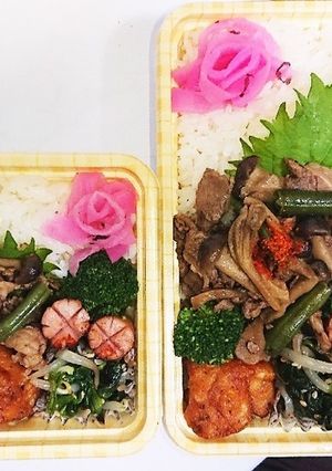 【夫婦弁当109】牛肉キノコとナムル-レシピのメイン写真