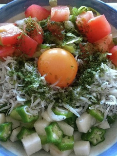 しらすとオクラ長芋の冷やしうどん-レシピのメイン写真