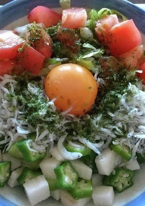 しらすとオクラ長芋の冷やしうどん-レシピのメイン写真